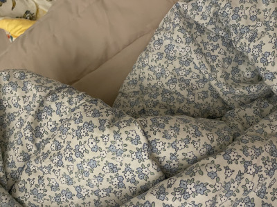 이미지를 찾을 수 없습니다.