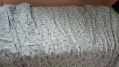 이미지를 찾을 수 없습니다.