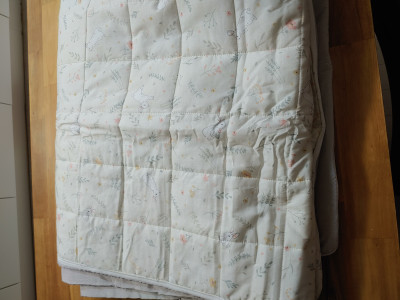 이미지를 찾을 수 없습니다.