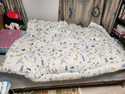 이미지를 찾을 수 없습니다.