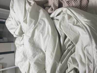 이미지를 찾을 수 없습니다.