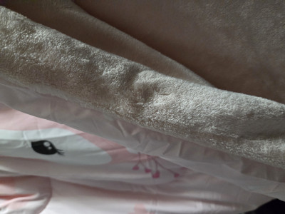 이미지를 찾을 수 없습니다.