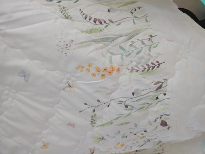 이미지를 찾을 수 없습니다.