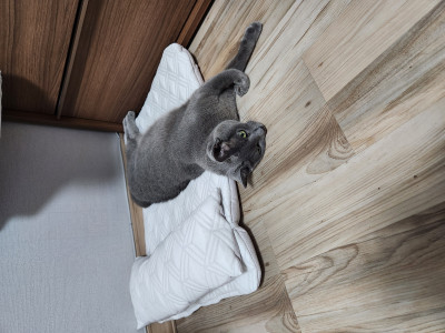 이미지를 찾을 수 없습니다.