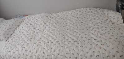 이미지를 찾을 수 없습니다.