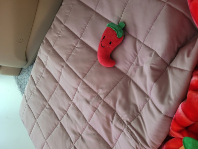 이미지를 찾을 수 없습니다.