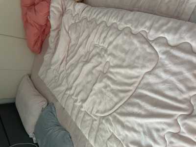 이미지를 찾을 수 없습니다.