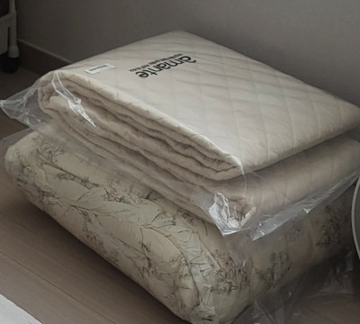 이미지를 찾을 수 없습니다.