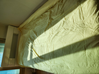 이미지를 찾을 수 없습니다.