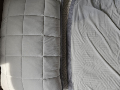 이미지를 찾을 수 없습니다.