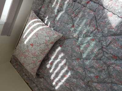 이미지를 찾을 수 없습니다.