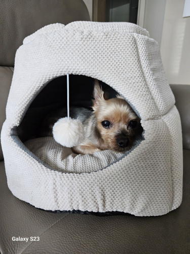 이미지를 찾을 수 없습니다.