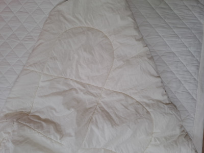 이미지를 찾을 수 없습니다.