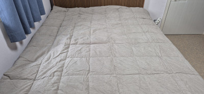 이미지를 찾을 수 없습니다.