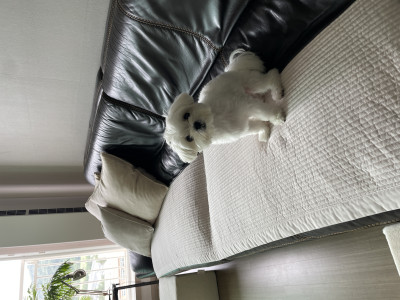 이미지를 찾을 수 없습니다.