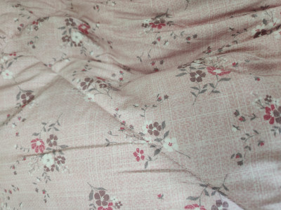 이미지를 찾을 수 없습니다.