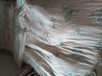 이미지를 찾을 수 없습니다.