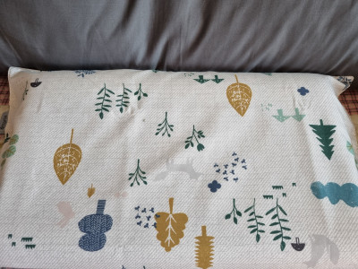 이미지를 찾을 수 없습니다.