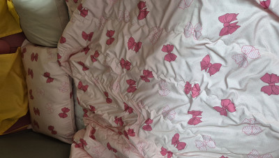 이미지를 찾을 수 없습니다.