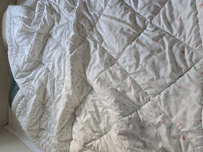 이미지를 찾을 수 없습니다.