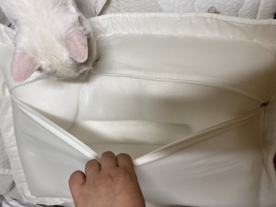 이미지를 찾을 수 없습니다.