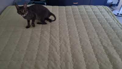 이미지를 찾을 수 없습니다.