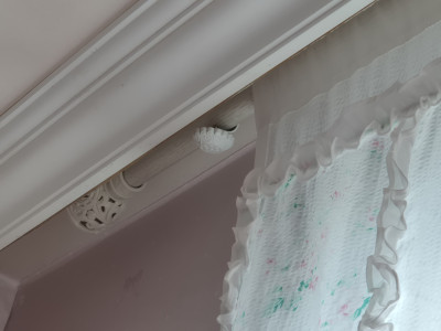 이미지를 찾을 수 없습니다.