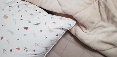 이미지를 찾을 수 없습니다.