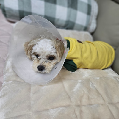 이미지를 찾을 수 없습니다.