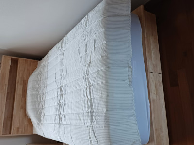 이미지를 찾을 수 없습니다.