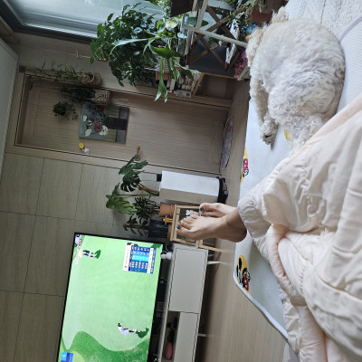 이미지를 찾을 수 없습니다.