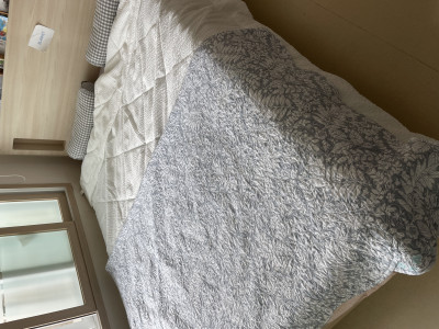 이미지를 찾을 수 없습니다.