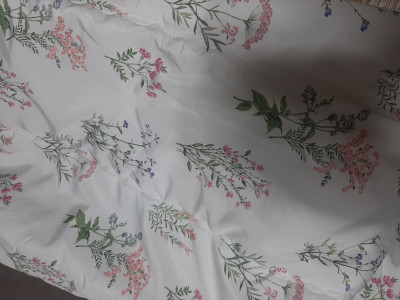 이미지를 찾을 수 없습니다.