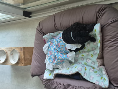 이미지를 찾을 수 없습니다.