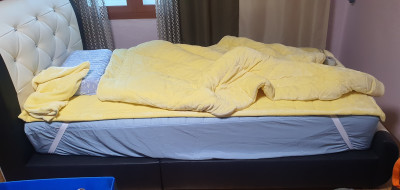 이미지를 찾을 수 없습니다.