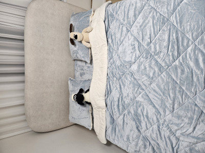 이미지를 찾을 수 없습니다.