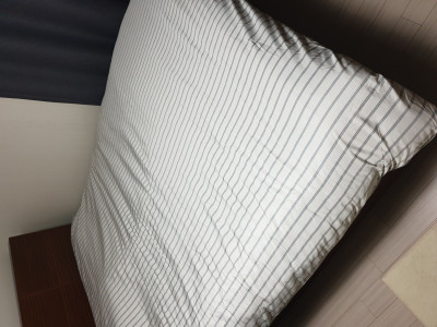 이미지를 찾을 수 없습니다.