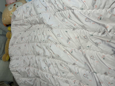 이미지를 찾을 수 없습니다.