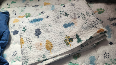 이미지를 찾을 수 없습니다.