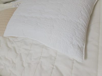 이미지를 찾을 수 없습니다.