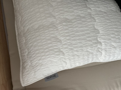 이미지를 찾을 수 없습니다.