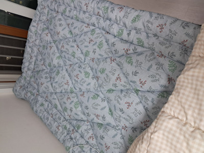 이미지를 찾을 수 없습니다.