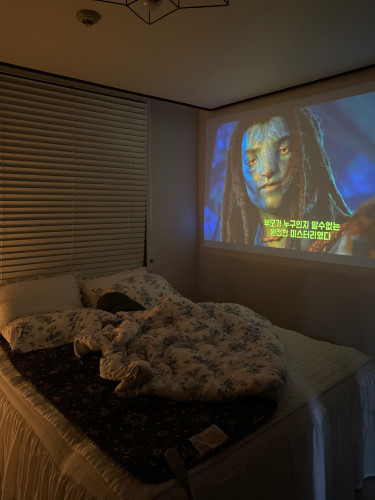 이미지를 찾을 수 없습니다.