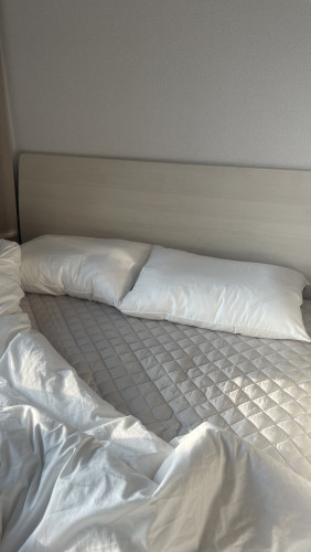 이미지를 찾을 수 없습니다.