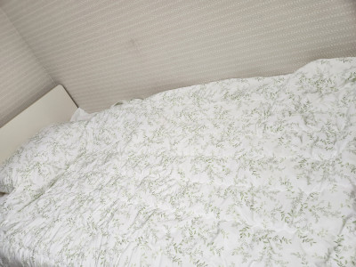 이미지를 찾을 수 없습니다.