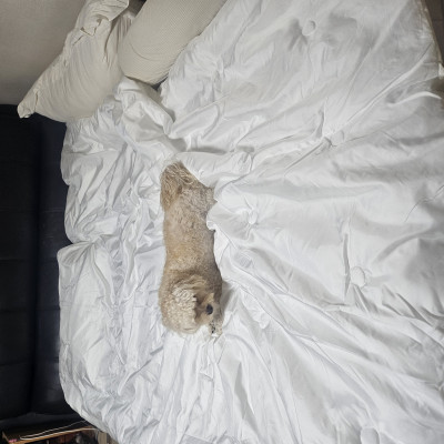 이미지를 찾을 수 없습니다.