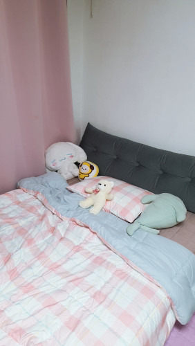 이미지를 찾을 수 없습니다.