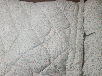 이미지를 찾을 수 없습니다.