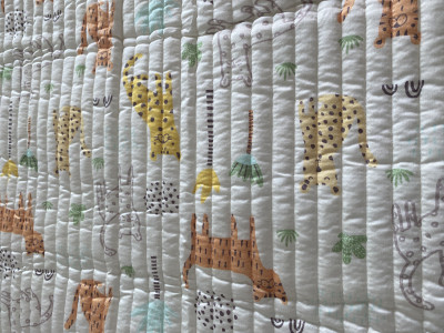 이미지를 찾을 수 없습니다.