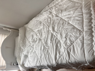 이미지를 찾을 수 없습니다.